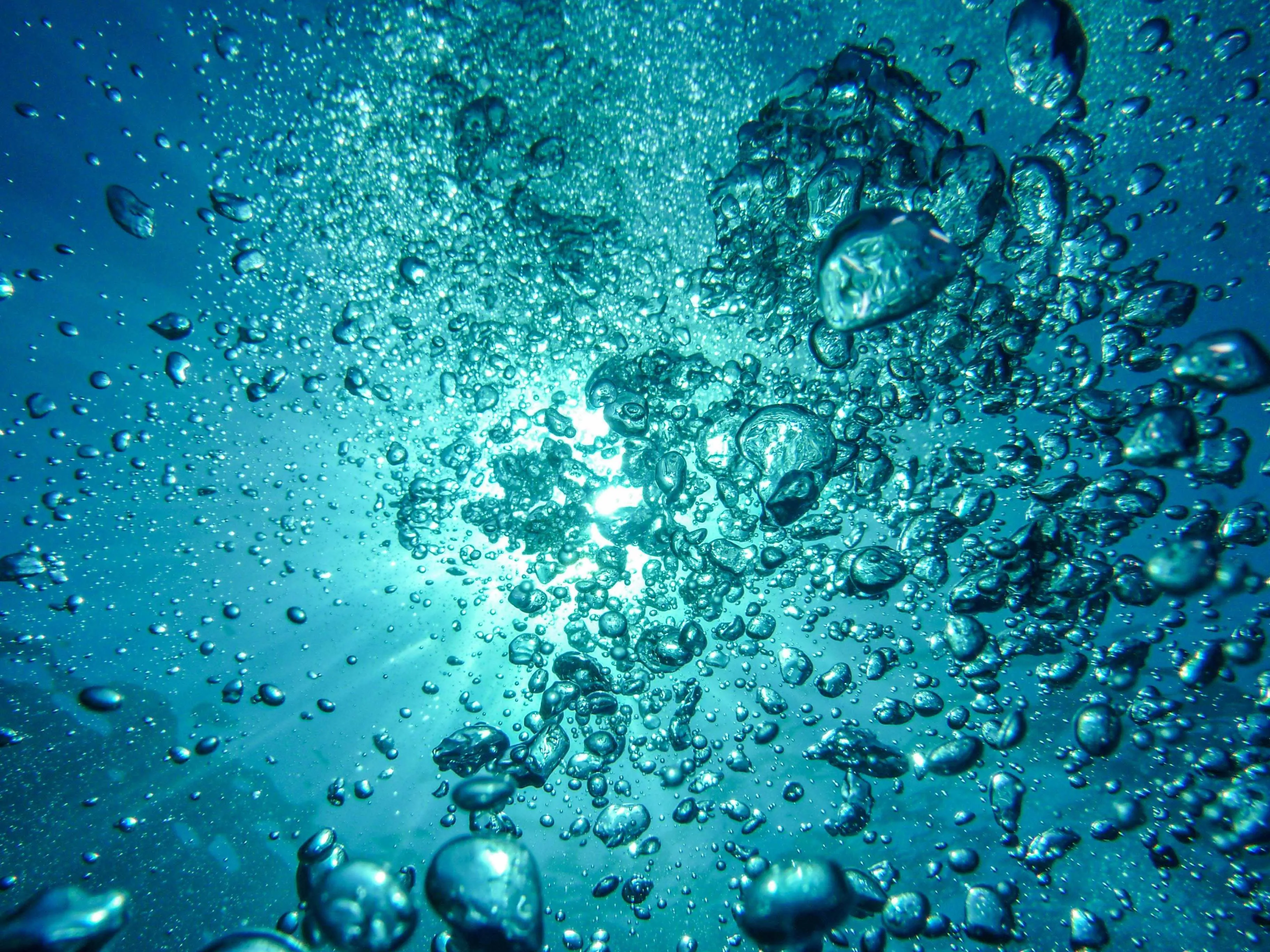 Category Image for Diving and Underwater Life